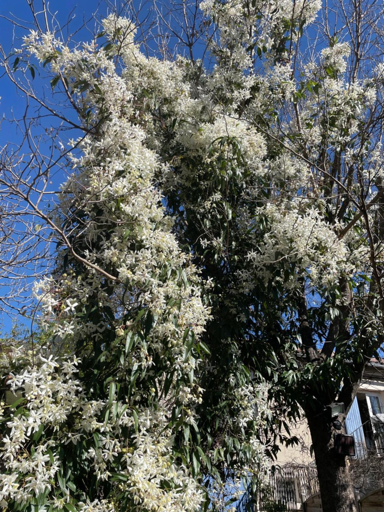 Gites Le Pimayon Manosque Eksteriør billede