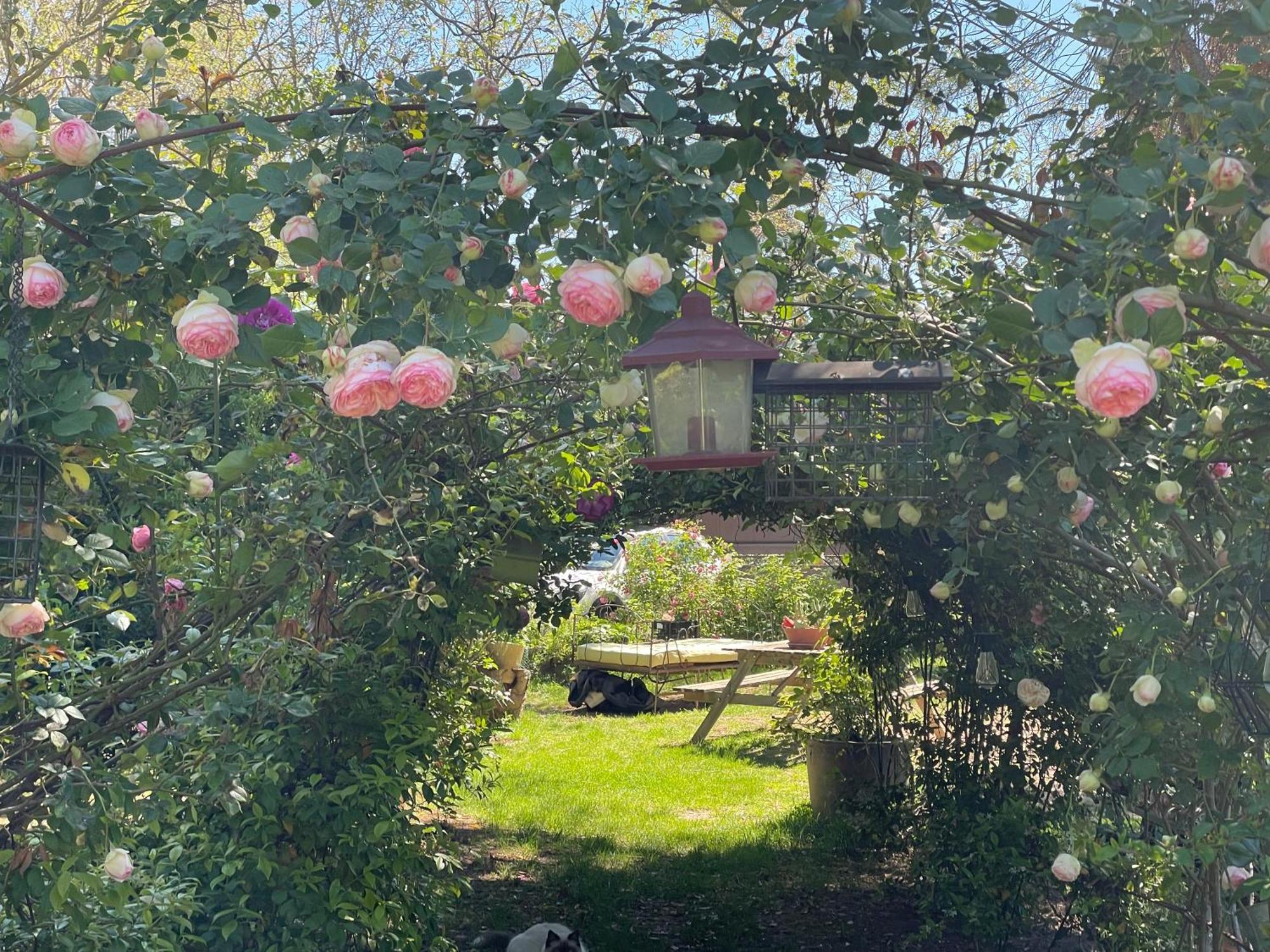 Gites Le Pimayon Manosque Eksteriør billede