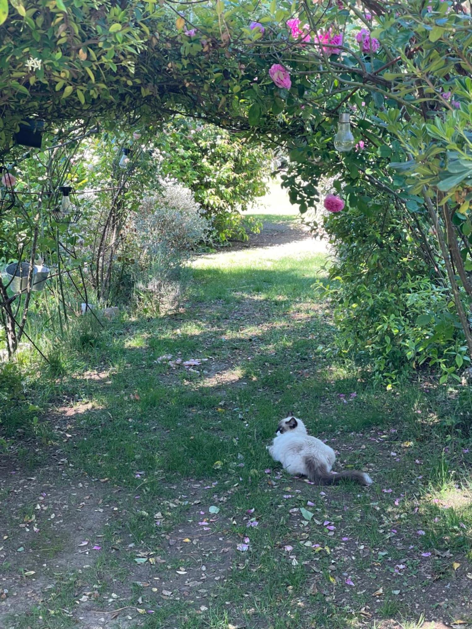 Gites Le Pimayon Manosque Eksteriør billede