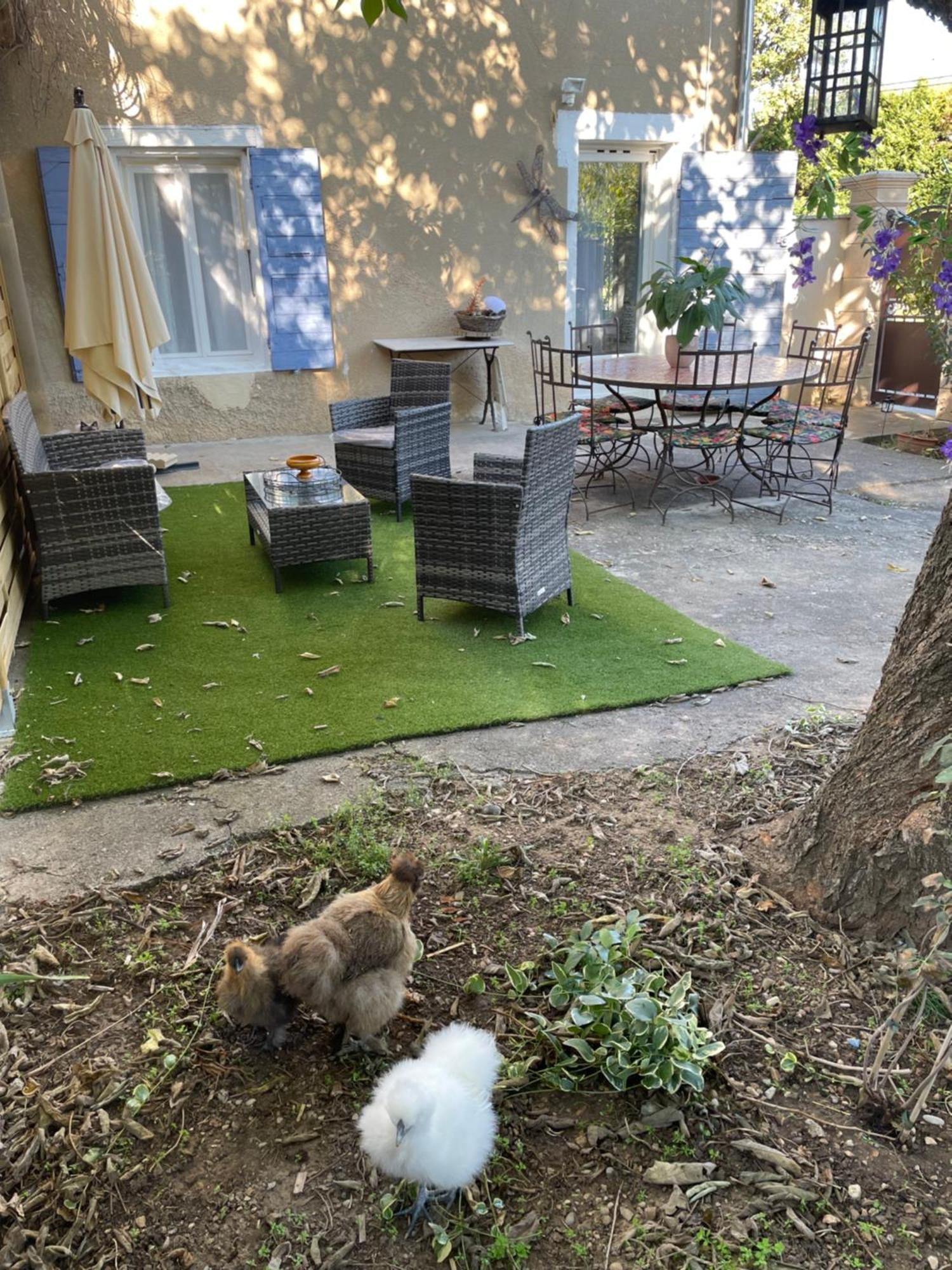 Gites Le Pimayon Manosque Eksteriør billede