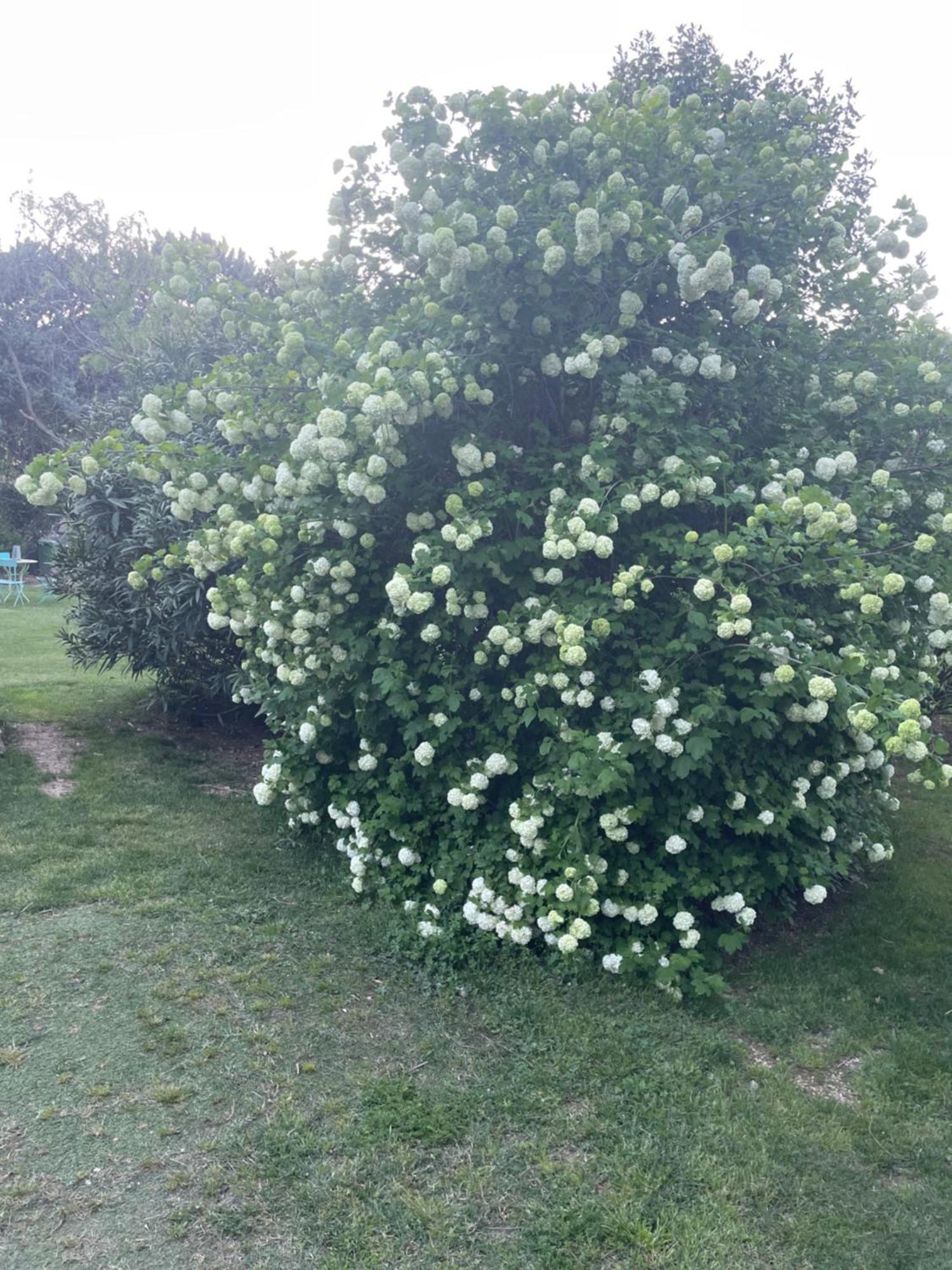Gites Le Pimayon Manosque Eksteriør billede