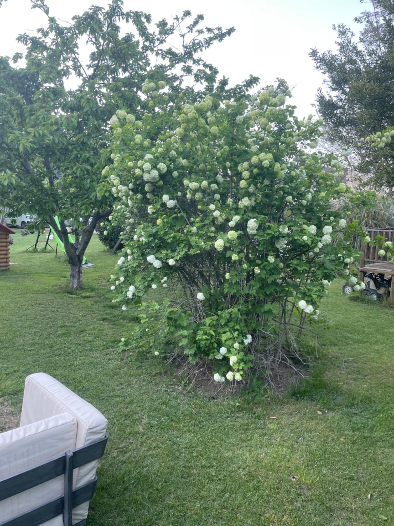 Gites Le Pimayon Manosque Eksteriør billede