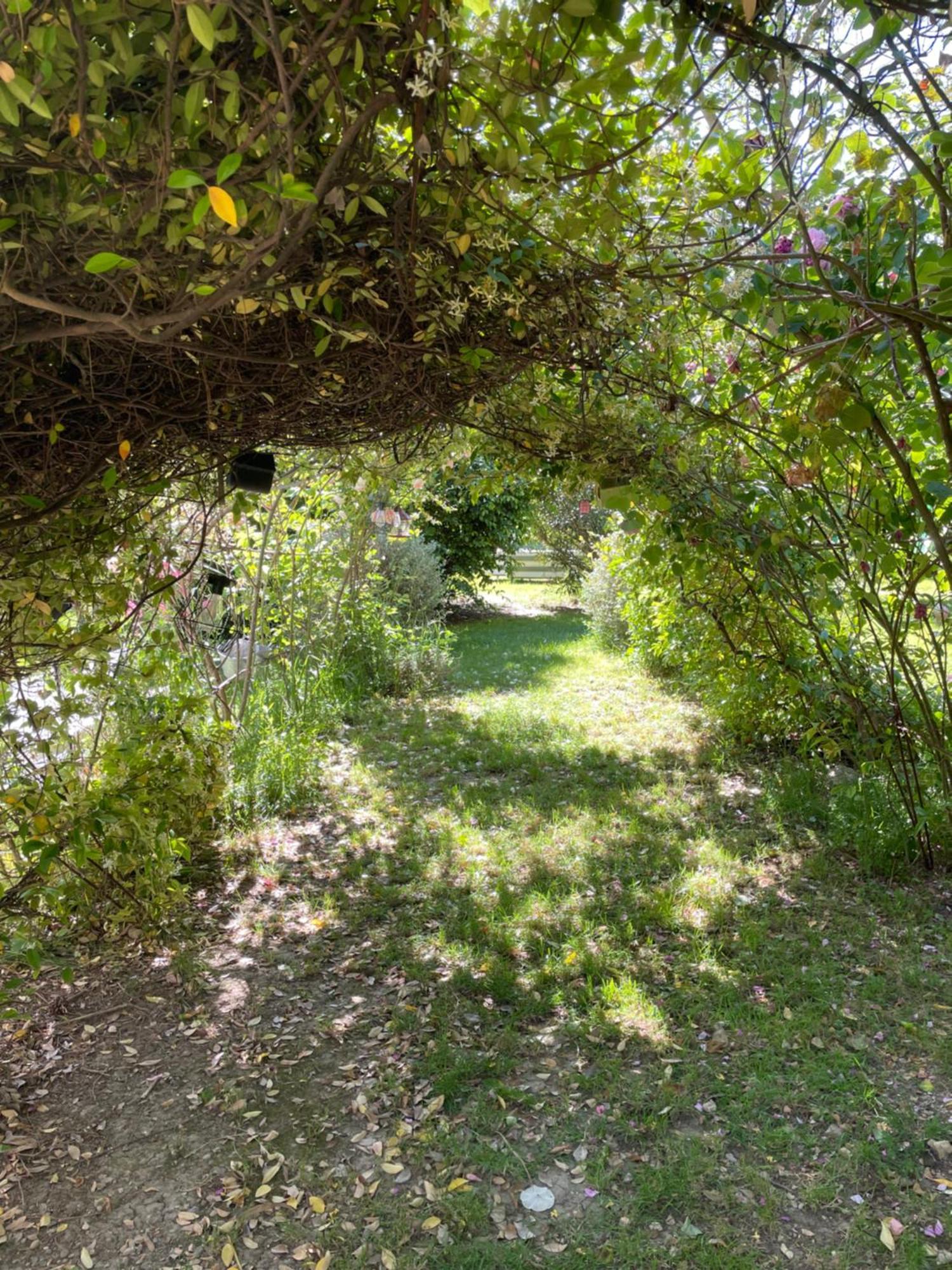 Gites Le Pimayon Manosque Eksteriør billede