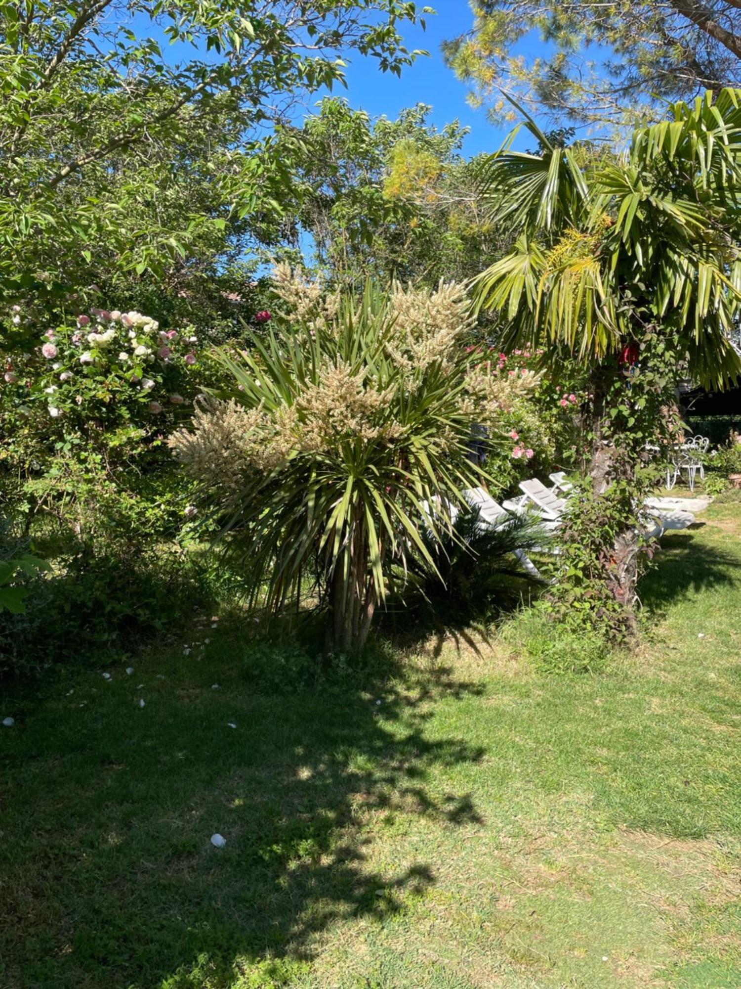 Gites Le Pimayon Manosque Eksteriør billede