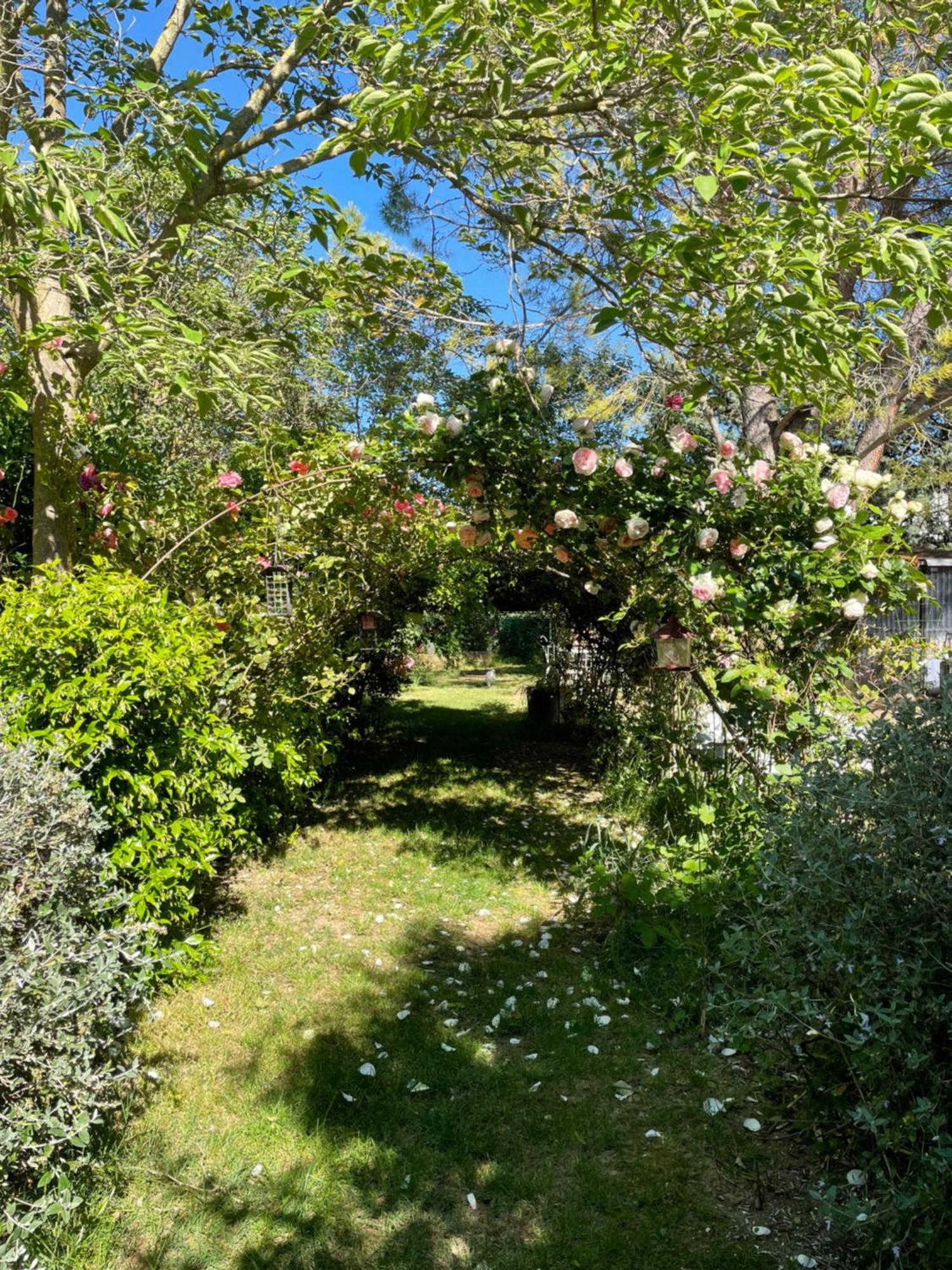 Gites Le Pimayon Manosque Eksteriør billede